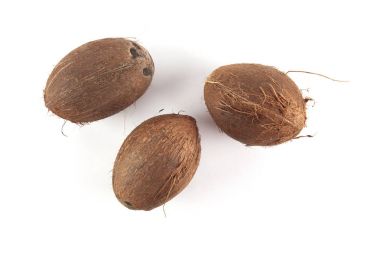 Olgun Hindistan cevizi yakın çekim