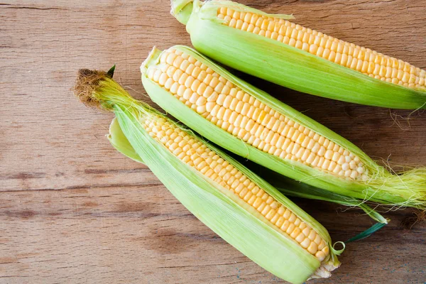 Ripe yellow corn — Stock Photo, Image
