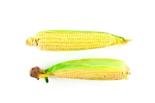 Dojrzałe kukurydzy — Zdjęcie stockowe
