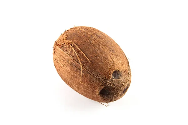 Coco maduro de cerca — Foto de Stock