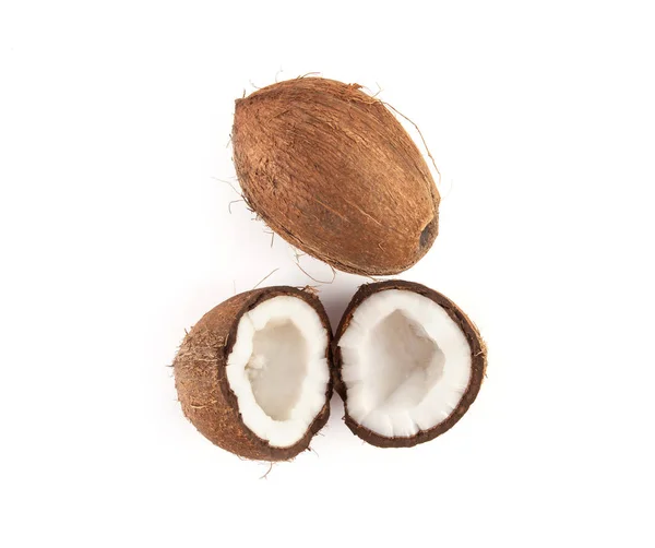 Dojrzały kokos z bliska — Zdjęcie stockowe