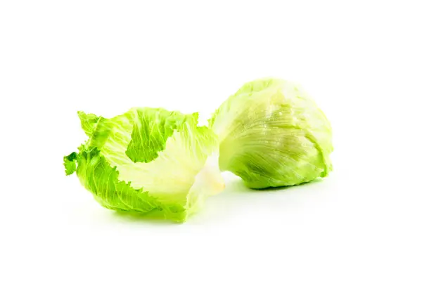 Green Iceberg lettuce — Stock Photo, Image