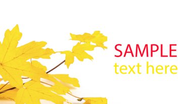 Metin ile sonbahar yaprak