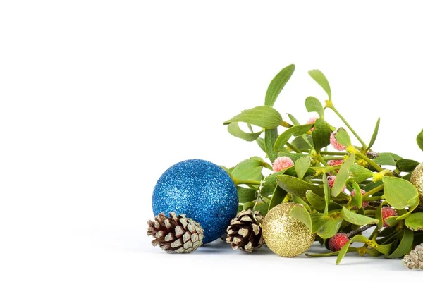 Groene Maretak geïsoleerd — Stockfoto