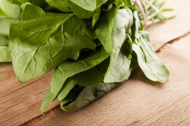 Taze yeşil ıspanak izole