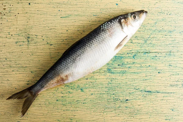 Raw herring isolated — Stock Photo, Image