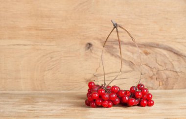 Kırmızı olgun kartopu