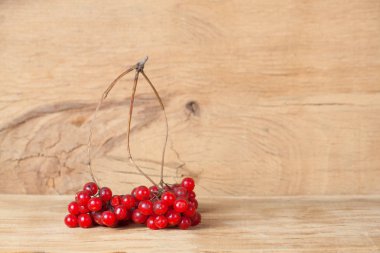 Kırmızı olgun kartopu