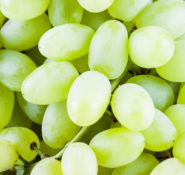 Uvas verdes frescas — Fotografia de Stock