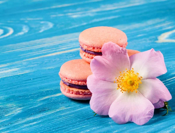 Colored macaroons on wood desk — Stock Photo, Image