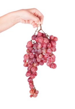 Taze kırmızı üzüm yakın çekim