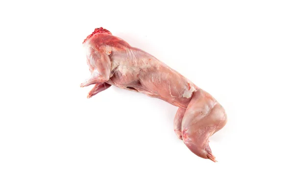 Çiğ tavşan karkas