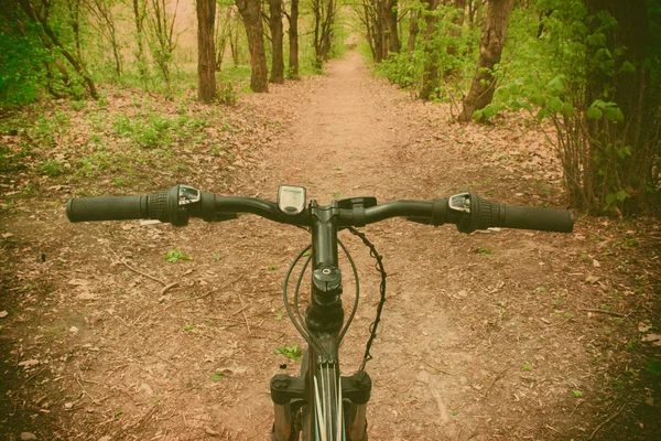 Велосипед на дороге в лесу — стоковое фото