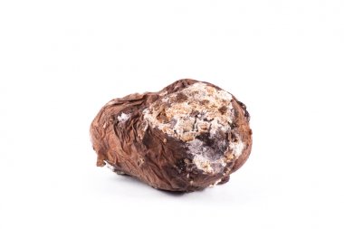 Kötü patates izole