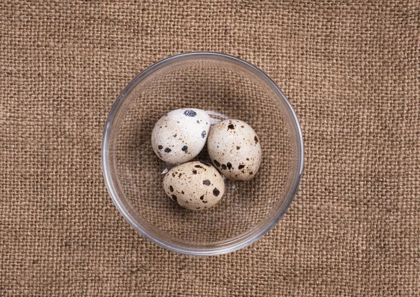 Ovos de codorna em tigela de vidro — Fotografia de Stock