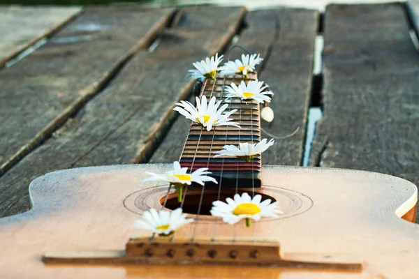 Guitarra al aire libre con flor — Foto de Stock