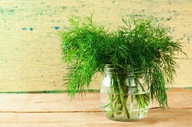 yakın çekim yeşil taze dereotu