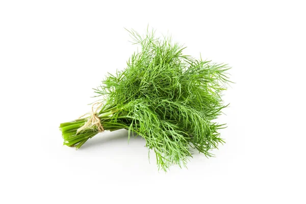 Frischer grüner Dill aus nächster Nähe — Stockfoto