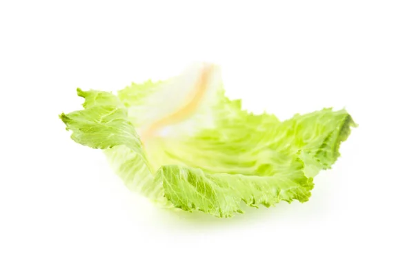 Fresh green cabbage — Stock Photo, Image