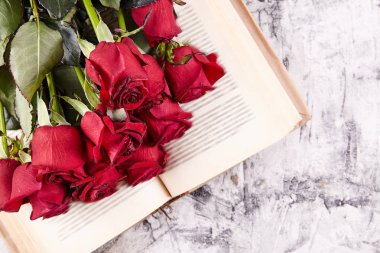 Arka plan üzerinde kırmızı gül