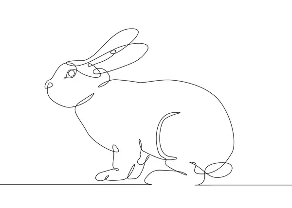 Continuous line drawing rabbit hare — Stock Vector