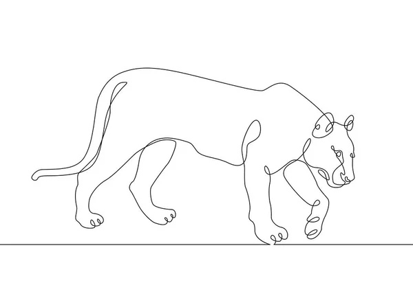 連続的にライン描画雌ライオンとトラ — ストックベクタ
