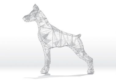 Köpek düşük Poli