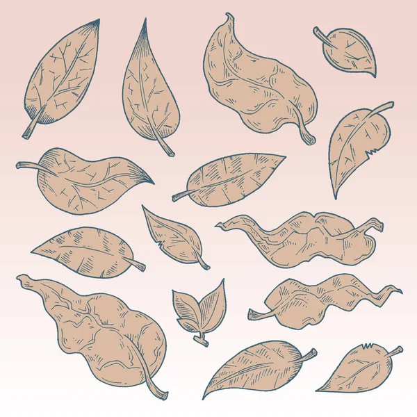 doodle big  set leaves