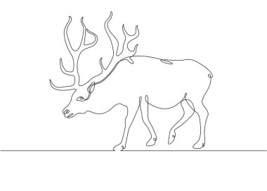 Sürekli boynuzlu tek çizgi geyik çizgisi.