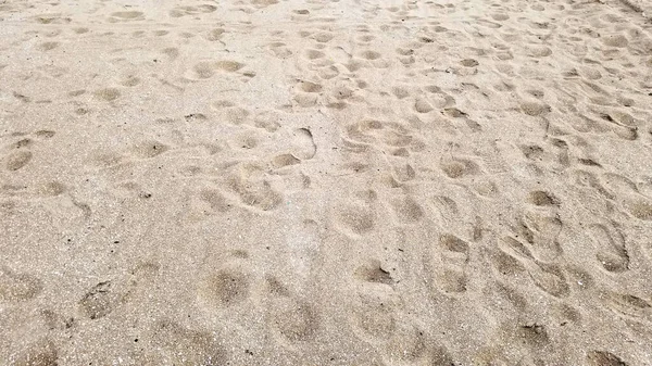 Empreintes de pas imprimées dans du sable mouillé sur une plage — Photo