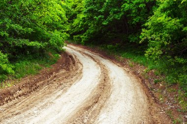 Ormandaki kırsal yol