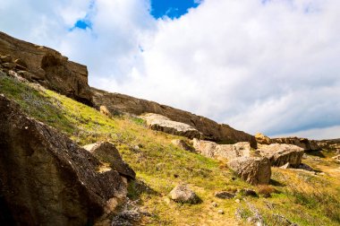 Dağ taş bitki örtüsü ile
