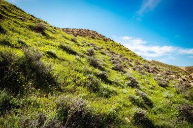 Bitki örtüsü bozkır Dağları