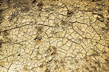 Arka plan resmi kuru arazi