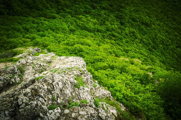 Pendiente Rocosa Montaña Con Vistas Bosque — Foto de Stock