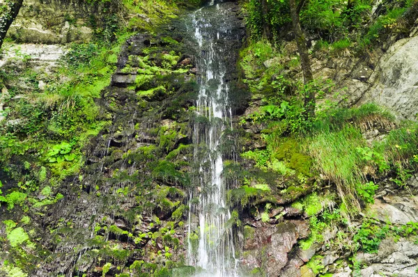 Mały Wodospad Lesie — Zdjęcie stockowe
