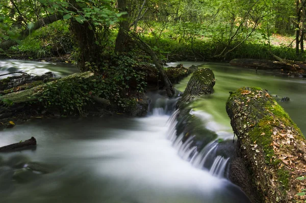 Langzeitbelichtungsfoto Eines Kleinen Wasserfalls Wald — Stockfoto