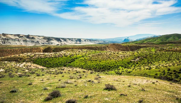 Mountain landscape in spring season