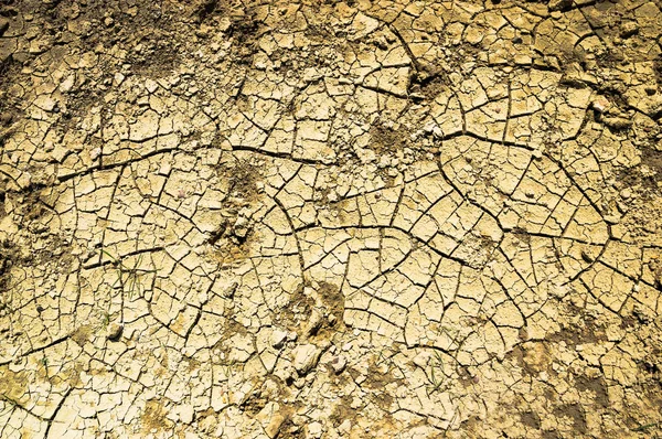 Arka plan resmi kuru arazi