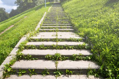 Çim ile büyümüş merdiven