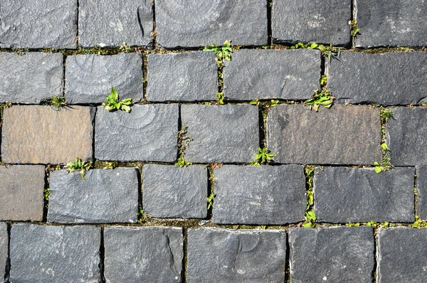 Cobbled stone road background photo — Stock Photo, Image