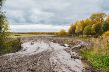 Sonra yağmur, orman köy yolunda, sonbahar kırsal manzara Off-Road