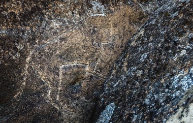 Kayanın üzerinde çeşitli hayvanların Antik Tarih öncesi çizimler. Antik uygarlıkların kalıntıları