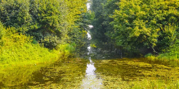 Riflessione del paesaggio forestale nel fiume, foto d'arte — Foto Stock