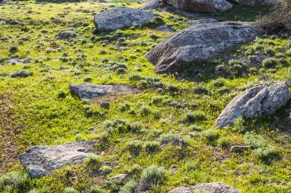 Скалистые камни на траве в холме — стоковое фото