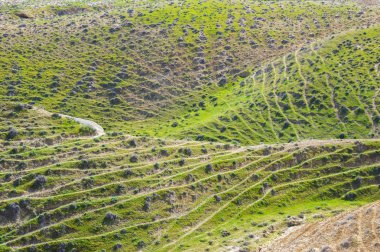 Koyun yollar Dağlık