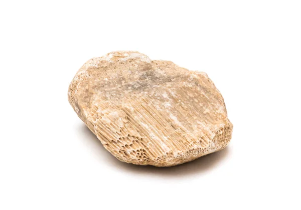 在白色背景下分离的石灰石-沉积岩 — 图库照片