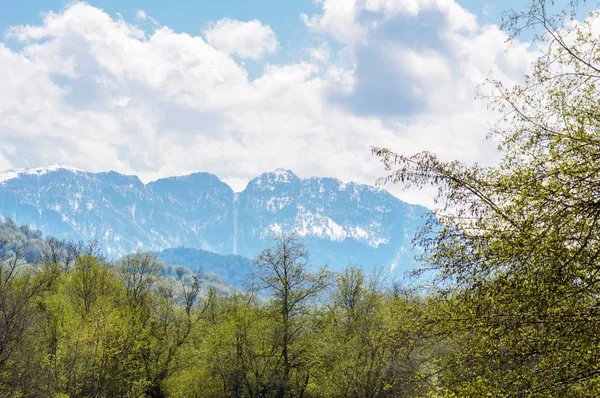 Vista de las montañas nevadas desde el bosque — Foto de Stock