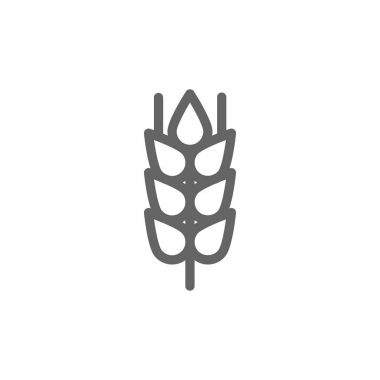 Basit buğday kulak ve tahıl satırı simgesi. Vektör çizim tasarım sembolü ve işareti. Düzenlenebilir inme. Beyaz arka plan üzerinde izole