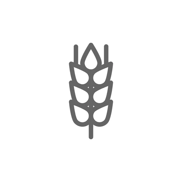 Orelha de trigo simples e ícone de linha de grãos. Símbolo e signo desenho da ilustração vetorial. Curso Editável. Isolado sobre fundo branco —  Vetores de Stock